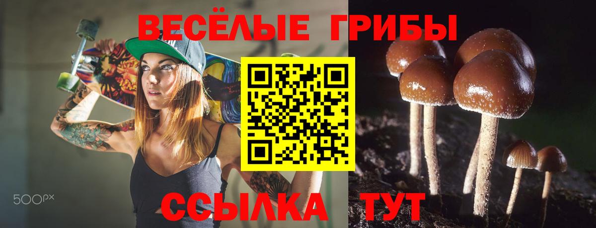 Шарыпово  Галлюциногенные грибы мухоморы  Псилоцибиновые грибы GOLDEN TEACHER  Вход с VPN 